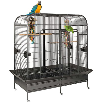 CAGES & TOOLS