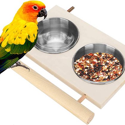 Feeding dishes