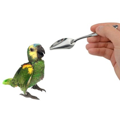 Hand Feeding Tools