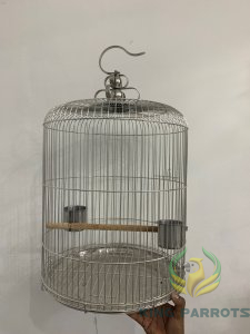 2258 cage big  luxery canary