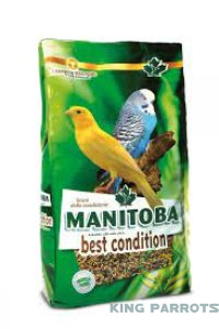 Budgies 3 KG  (MANITOBA)