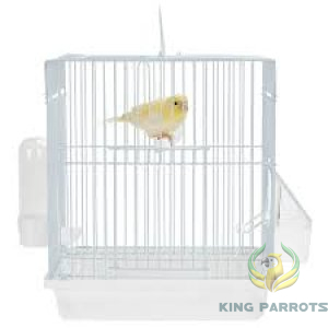 Canary Cage