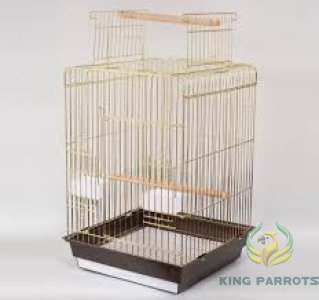 casco big cage - قفص كاسكو كبير-