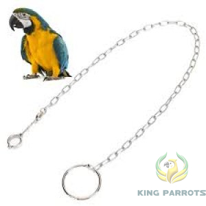 Ebamaz Pet Bird Parrot Foot selsela _ سلسلة قدم للببغاء والطيور