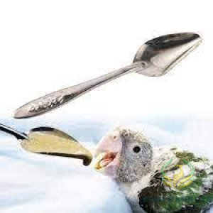 Feeding Spoon for Baby Birds