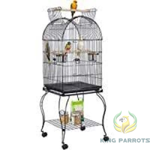 it 01 cage big bird casco