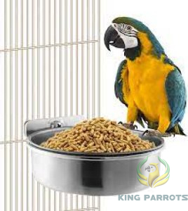 Parrot Big Food Dish.jpeg