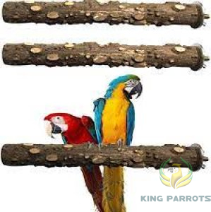 stand cage Big ( MAGSAM )-مجسم كبيرمن خشب الشجرة الطبيعي