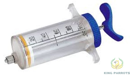 Syringe Bird Feeding 100ML