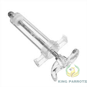 Syringe Bird Feeding 30ML