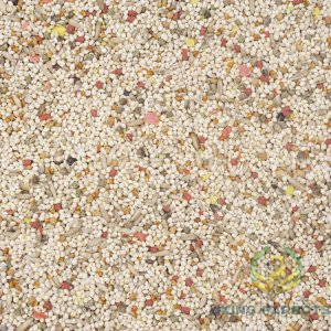 Primus Mixture For Budgies  4.Kg