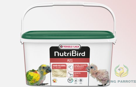 Versele-Laga A21  3 KG Hand Feeding Food